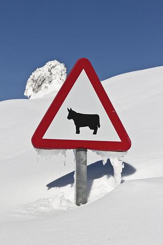 Palombera - Al margen del río Saja