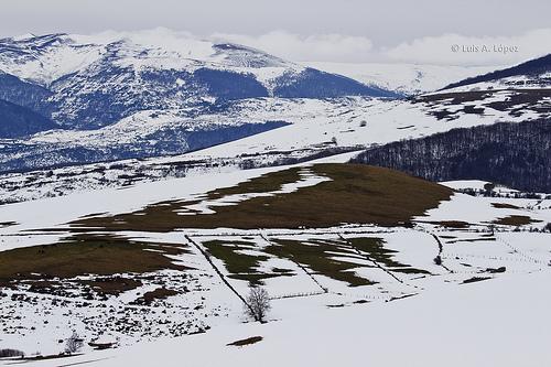 Palombera - Al margen del río Saja