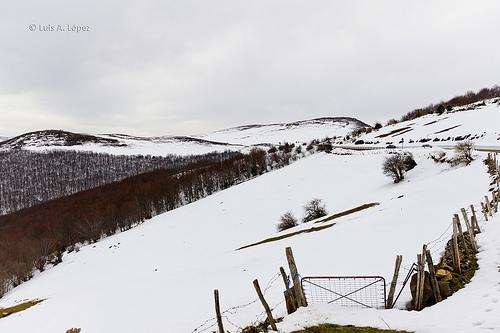 Palombera - Al margen del río Saja