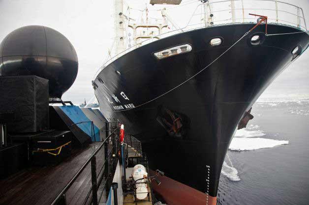 colisión del Bob Barker y el Nisshin Maru