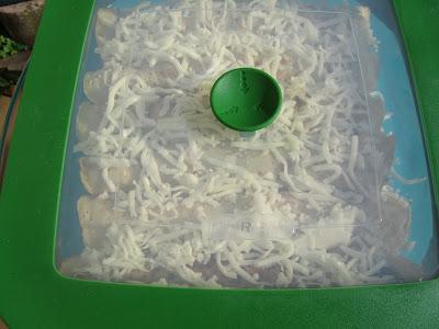 Crepes de langostinos Crepes de langostinos