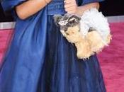 Quvenzhané Wallis llegó alfombra roja Oscar bolso perrito