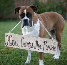 !!QUE VIENE LA NOVIA!! - HERE COMES THE BRIDE-