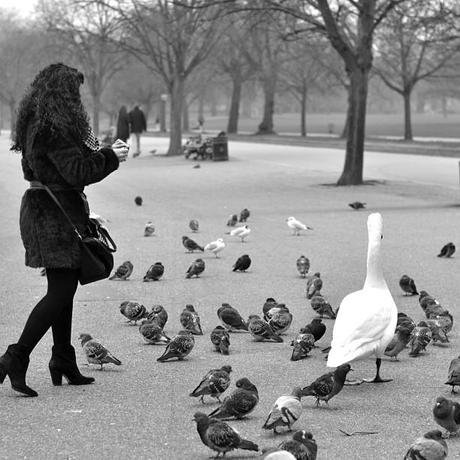  photo b523fb547aeb11e2bb3e22000a1fb8a8_7_zps26a4ae22.jpg