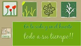 Al pan pan ...y al campo REFRÁN (parte II)