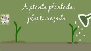 Al pan pan ...y al campo REFRÁN (parte II)