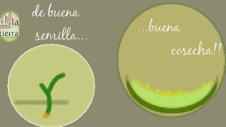 Al pan pan ...y al campo REFRÁN (parte II)