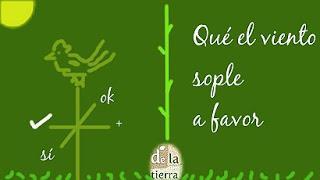 Al pan pan ...y al campo REFRÁN (parte II)