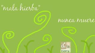 Al pan pan ...y al campo REFRÁN (parte II)