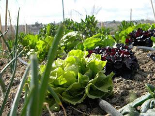 Charla De la Tierra Charla De la Tierra