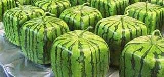 Que no te líen Que no te líen