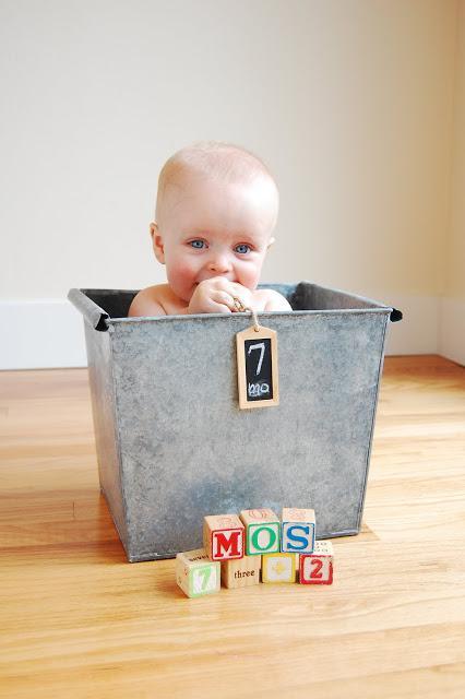 Bebés mes a mes Bebés mes a mes