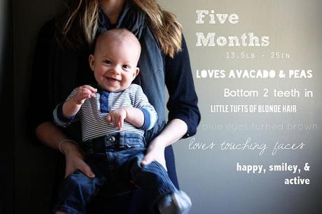 Bebés mes a mes Bebés mes a mes