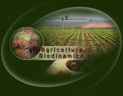 ¿Qué es la Agricultura Biodinámica?