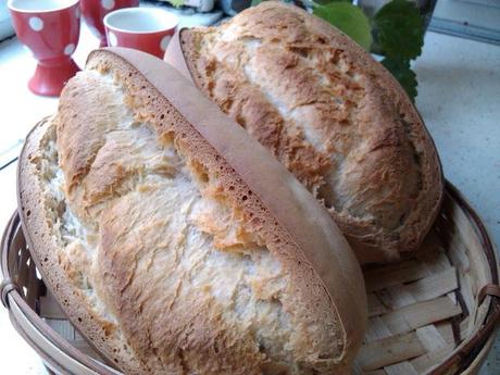 pan bollo sevillano (Tipo Candeal de Alcalá de Guadaira)