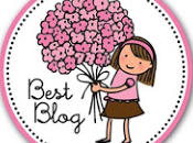 Segundo Premio Best Blog