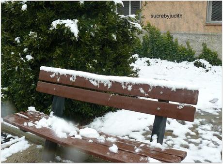 IMÁGENES DE LA NEVADA