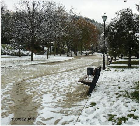 IMÁGENES DE LA NEVADA