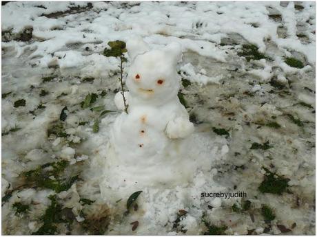 IMÁGENES DE LA NEVADA