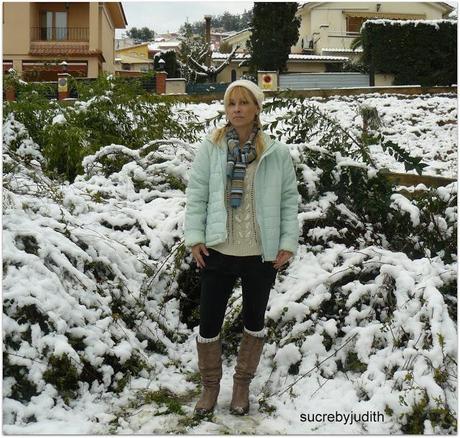 IMÁGENES DE LA NEVADA