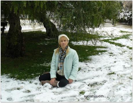 IMÁGENES DE LA NEVADA