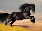 «quiero saber qué» sherwood anderson