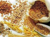 Comer granos enteros disminuye riesgo pre-diabetes