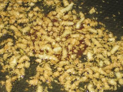 Escarola aliñada con ajo frito