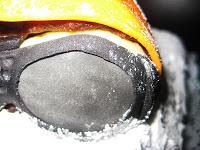 Hoy nos vamos de montaña