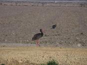 Primavera Invierno España Spring Winter south Spain 13/2/13