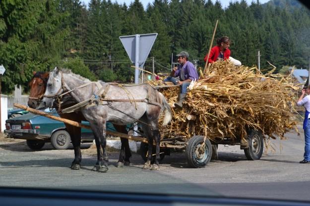 Vida rural en Curtea de Arges. Wallachia, Rumania