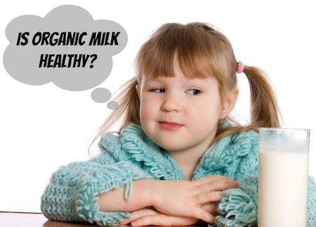 Beneficios de la leche orgánica de vaca