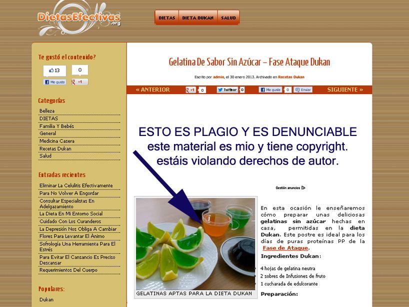dietasefectivas.org ROBA  recetas y fotos