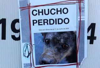 Chucho vuelven después de ocho años