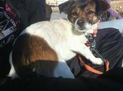 Pequeña dejada atada banco!! ayuda, puede estar calle!! (cadiz)