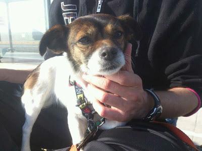PEQUEÑA DEJADA ATADA EN UN BANCO!! AYUDA, NO PUEDE ESTAR EN LA CALLE!! (CADIZ)