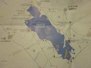 III Festival Grullero (V, y final): 15 de febrero, gran día de migración en la laguna de Gallocanta.