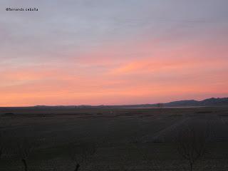 III Festival Grullero (V, y final): 15 de febrero, gran día de migración en la laguna de Gallocanta.