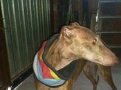 historia veces repetida