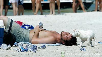 Tipos de corrupción