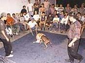 Dialéctica caníbal