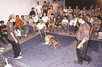 Dialéctica caníbal