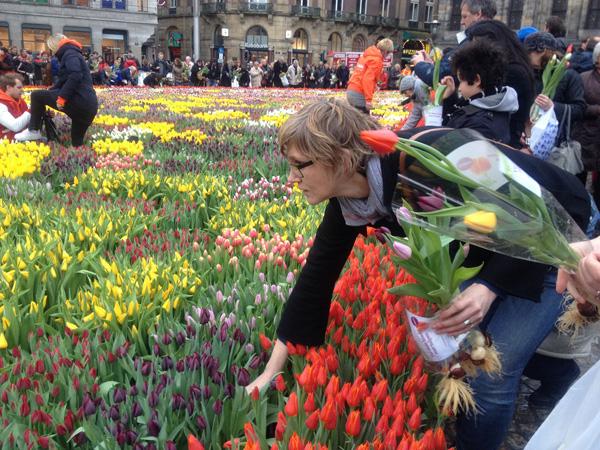 paisajismo urbano 031 Un dia de celebracion con flores