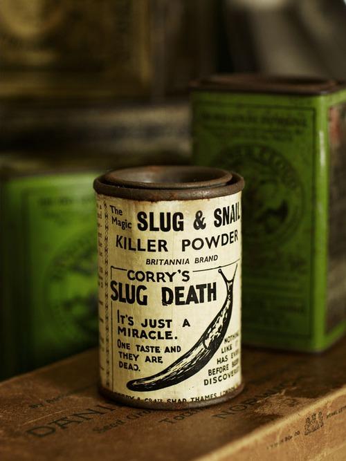 VINTAGE & RUSTIC INSPIRATION