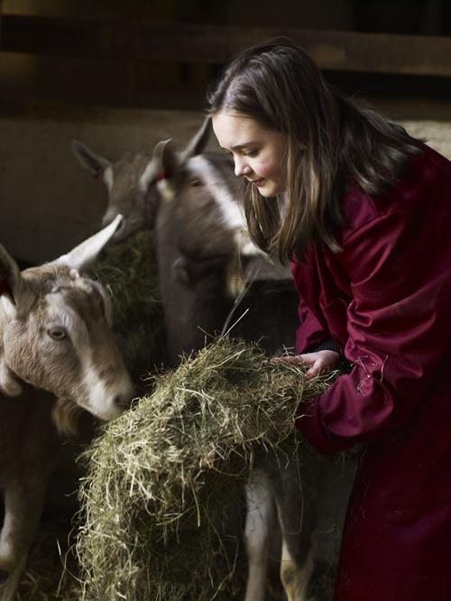 VINTAGE & RUSTIC INSPIRATION