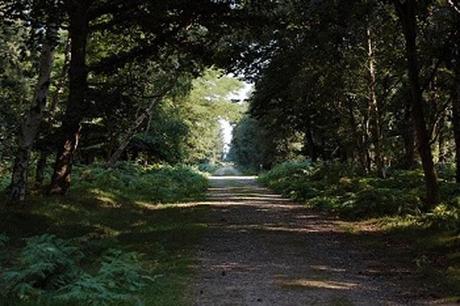 LUGARES MAGICOS Y TERRORIFICOS LUGARES MAGICOS Y TERRORIFICOS