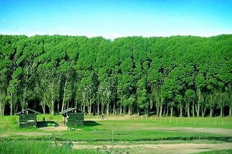 LUGARES MAGICOS Y TERRORIFICOS LUGARES MAGICOS Y TERRORIFICOS