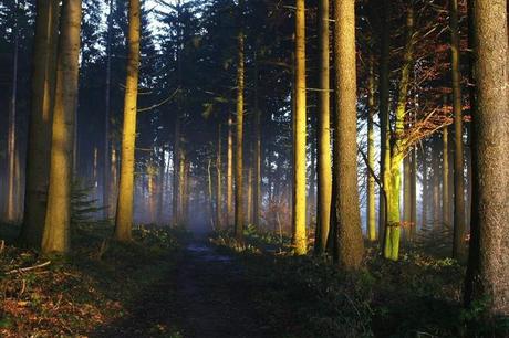 LUGARES MAGICOS Y TERRORIFICOS LUGARES MAGICOS Y TERRORIFICOS