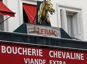 Montaje albóndigas CARNE CABALLO