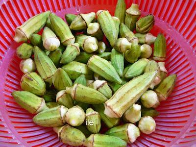 Okra o bamia con tomate y ajo